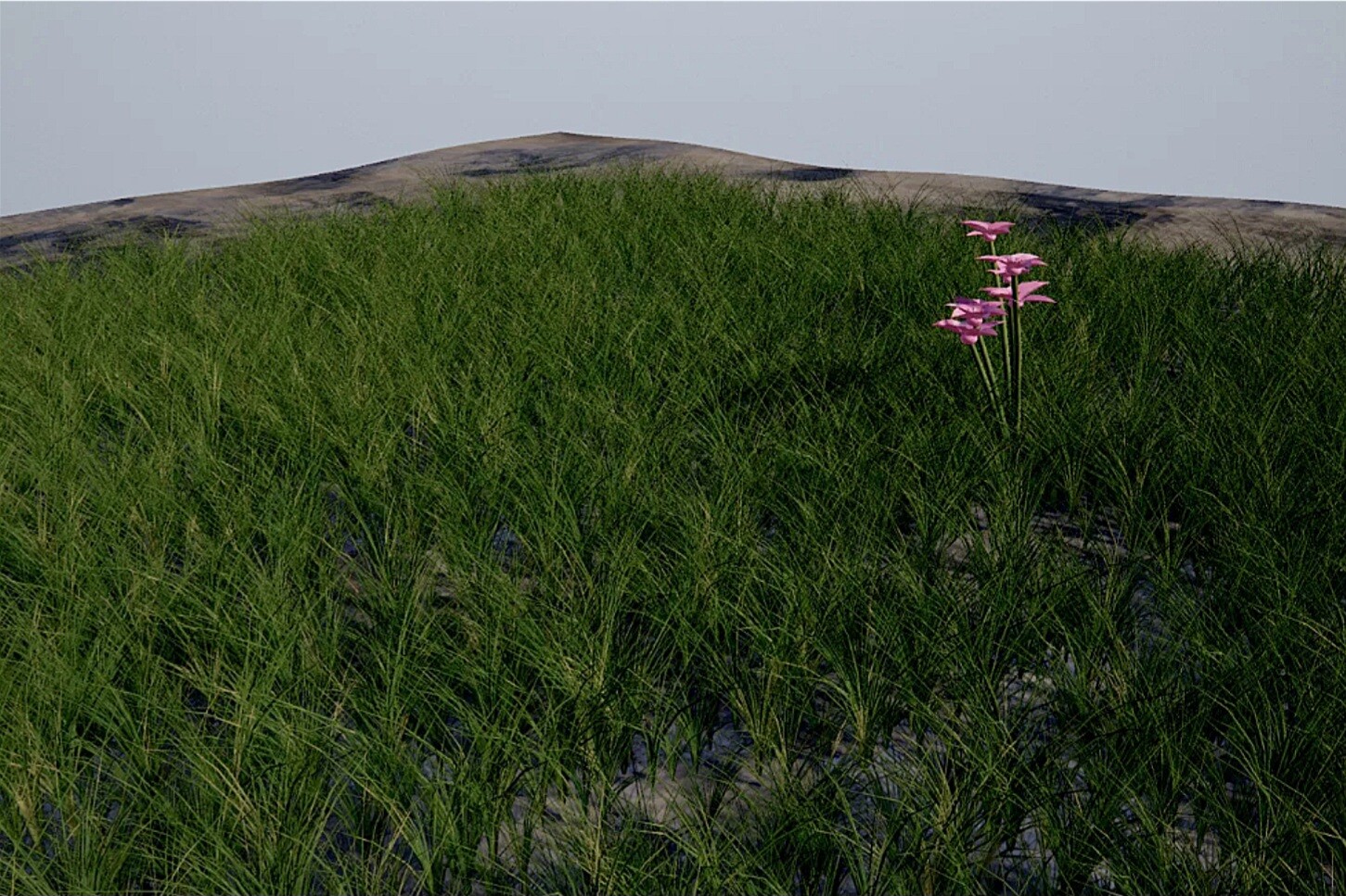 C&C Creative Suite - Foliage & Props